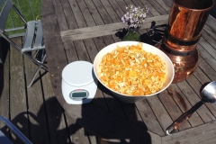 Orangen geschnetzelt